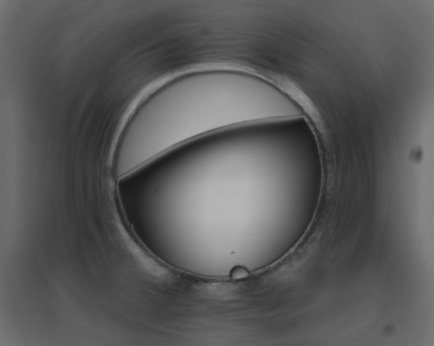 X0000096661380200802051208
