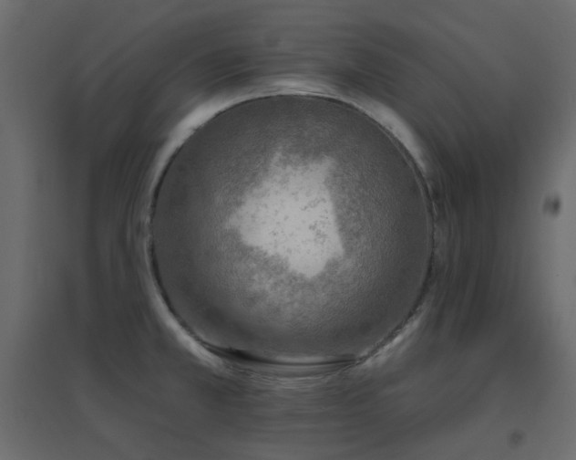 X0000096661381200802051208