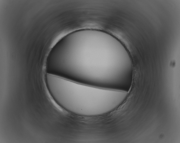 X0000096661383200802051208
