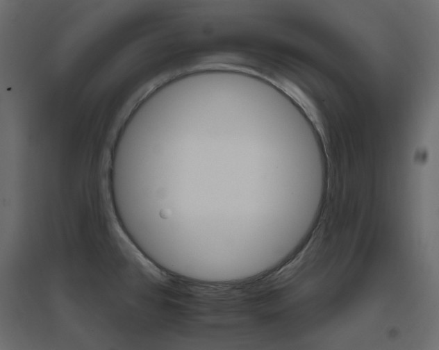 X0000096661384200802051208