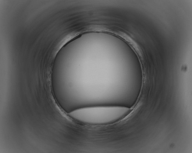 X0000096661385200802051208