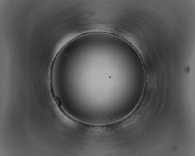 X0000096661387200802051208