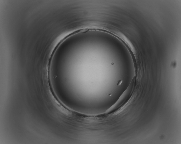 X0000096661388200802051208