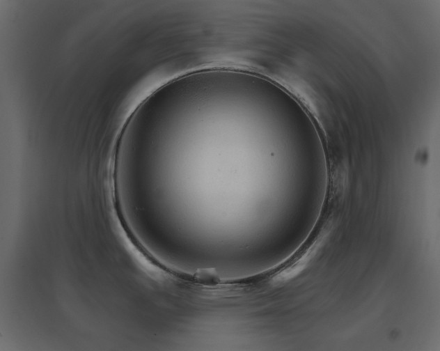 X0000096661391200802051208