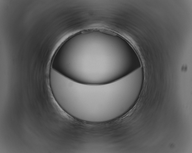 X0000096661392200802051208