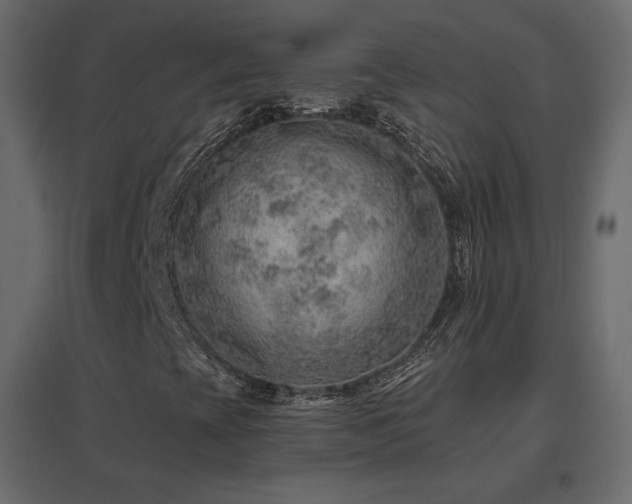 X0000096661393200802051207