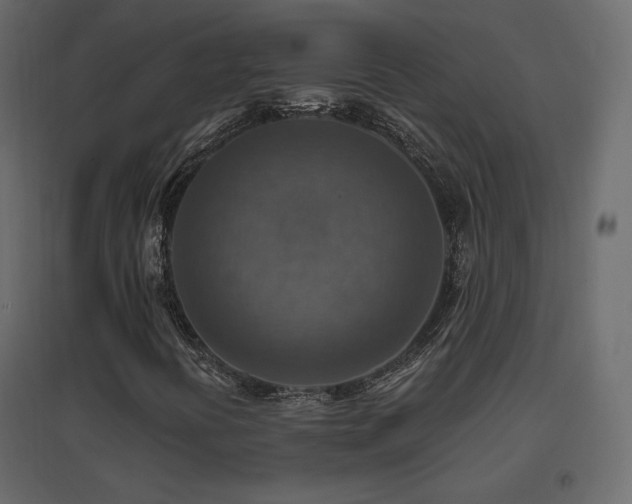 X0000096661394200802051207