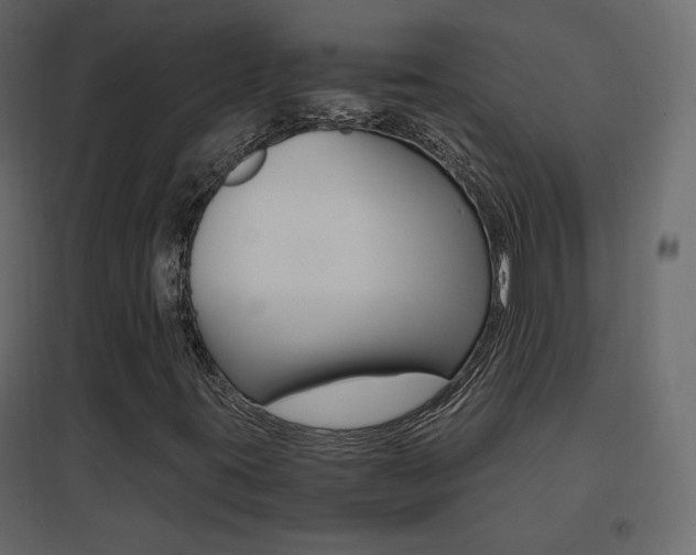 X0000096661395200802051207