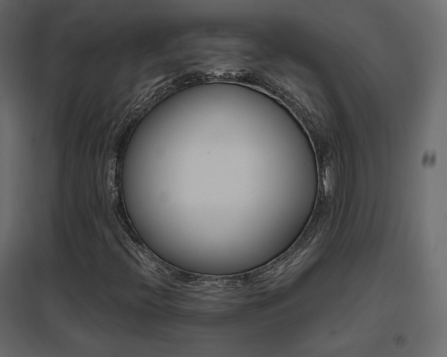X0000096661396200802051207
