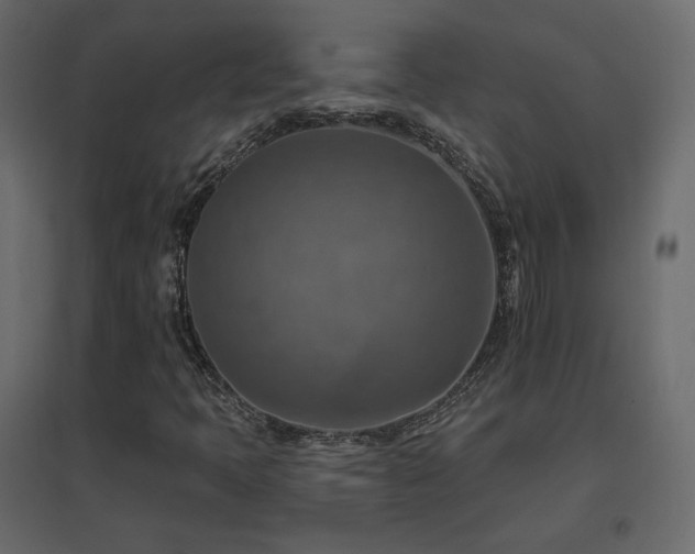 X0000096661397200802051207
