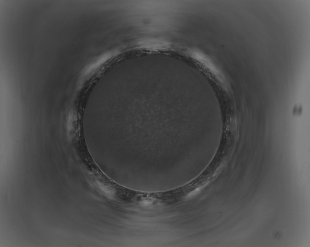 X0000096661398200802051207