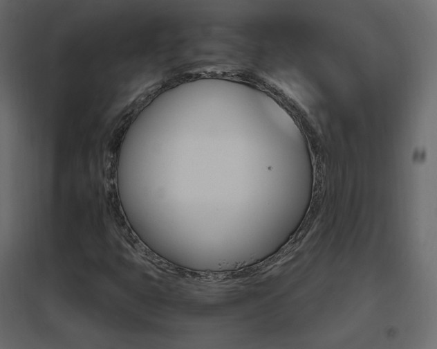 X0000096661399200802051207