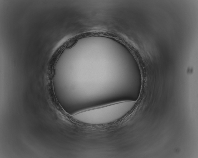 X0000096661400200802051207