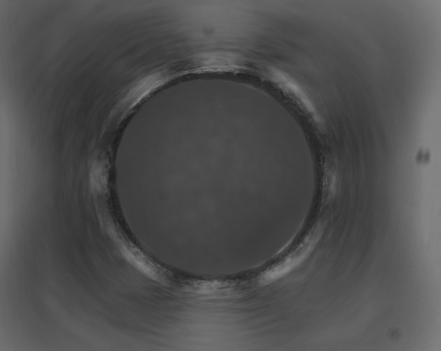 X0000096661401200802051207
