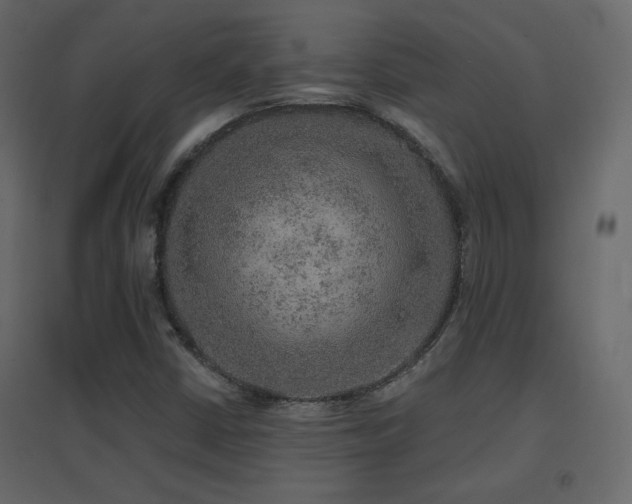 X0000096661402200802051207