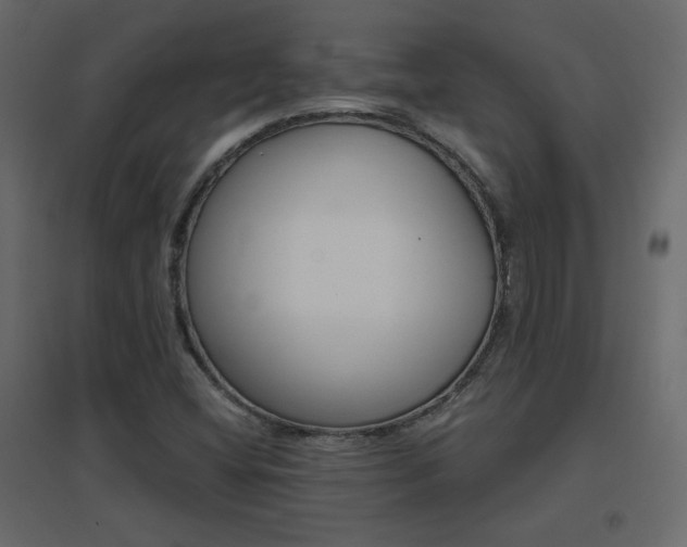 X0000096661404200802051207