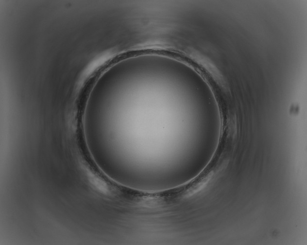 X0000096661406200802051207