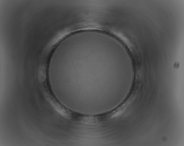X0000096661407200802051207
