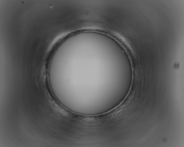 X0000096661408200802051207
