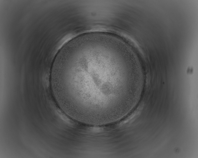 X0000096661409200802051207