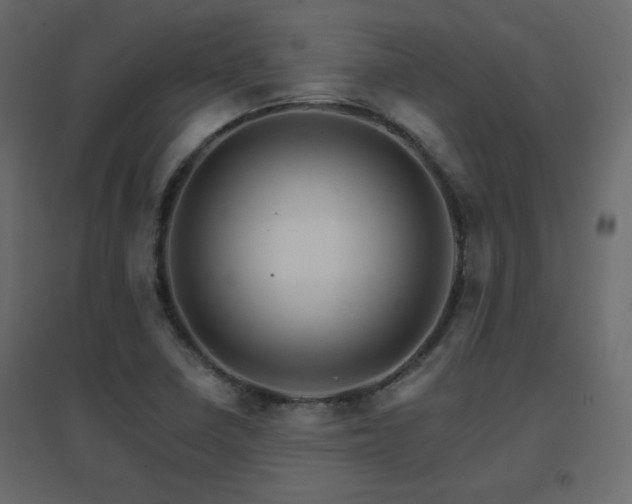 X0000096661410200802051207