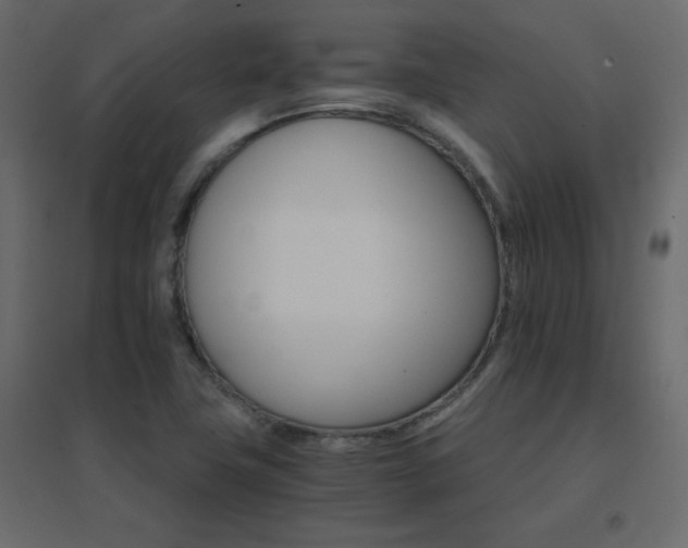 X0000096661411200802051207