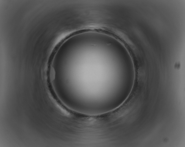 X0000096661412200802051207