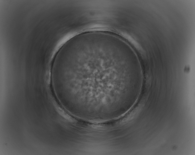 X0000096661413200802051207