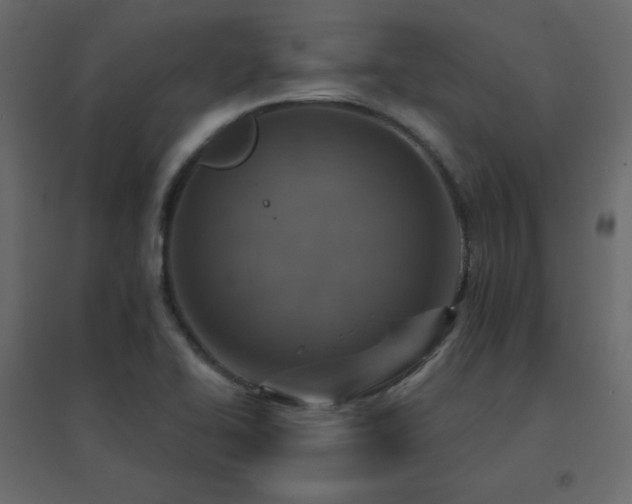 X0000096661414200802051207