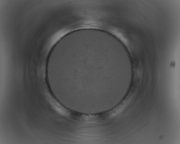 X0000096661415200802051207