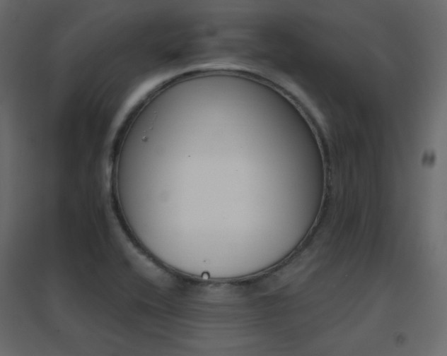 X0000096661416200802051207