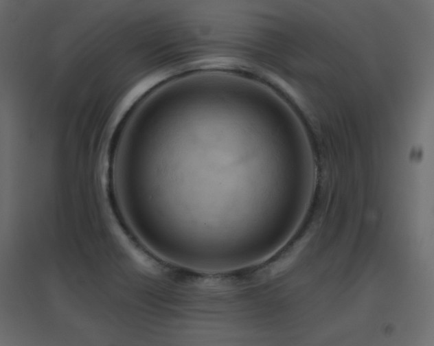 X0000096661418200802051208