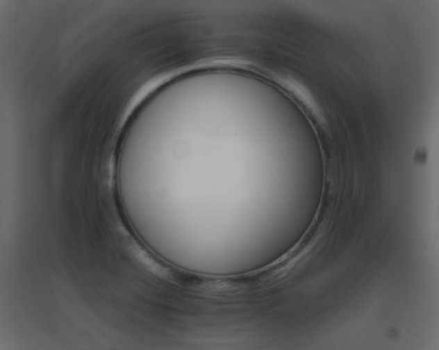 X0000096661420200802051208