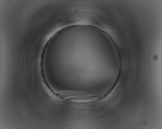 X0000096661422200802051208