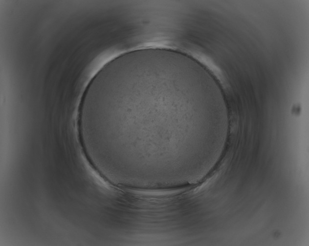 X0000096661423200802051208