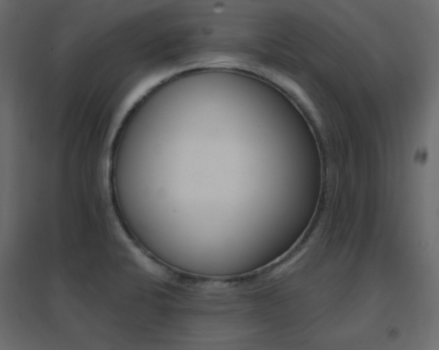 X0000096661424200802051208