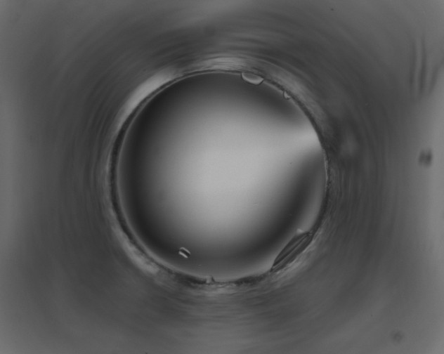 X0000096661426200802051208