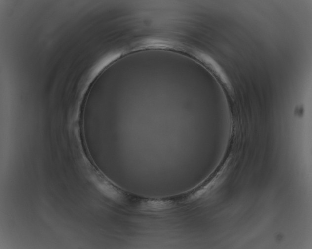 X0000096661427200802051208