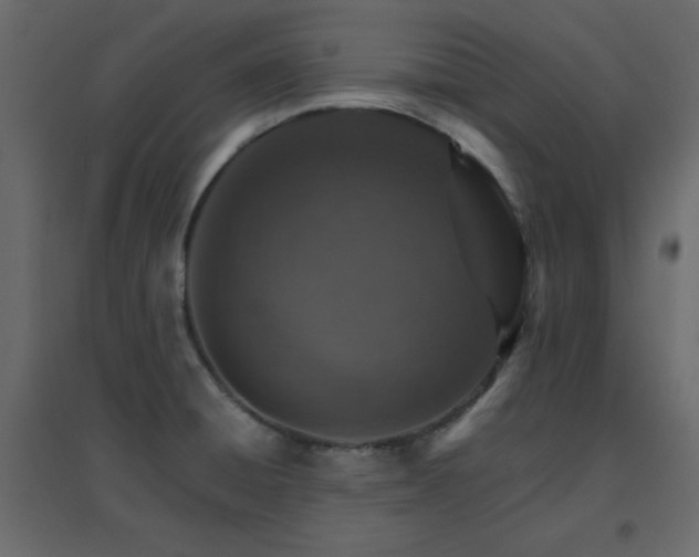 X0000096661428200802051208
