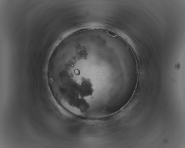 X0000096661429200802051208