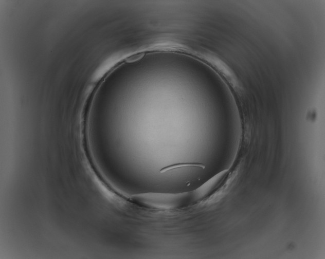 X0000096661430200802051208
