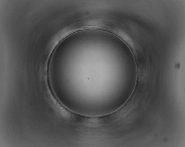 X0000096661431200802051208