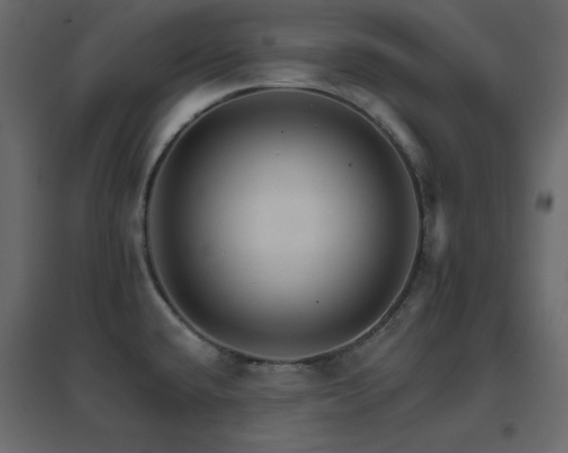 X0000096661432200802051208