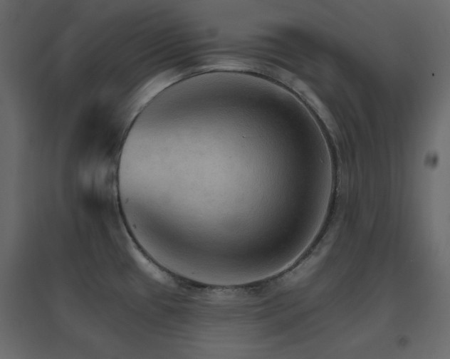 X0000096661433200802051208