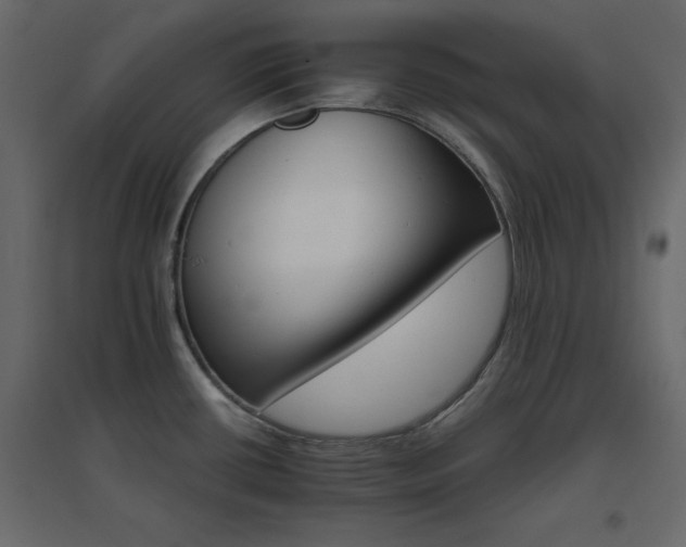 X0000096661434200802051208