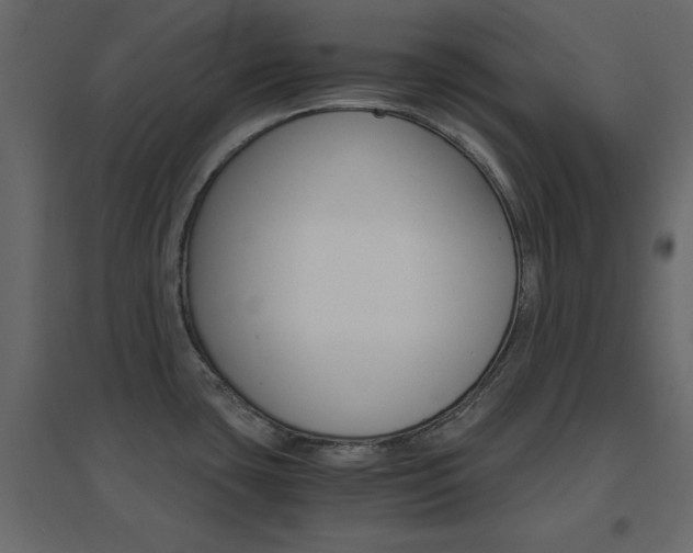 X0000096661435200802051208