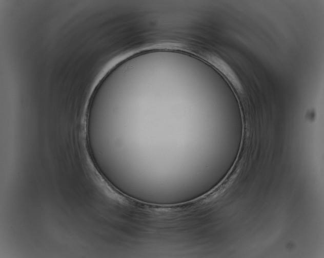 X0000096661436200802051208