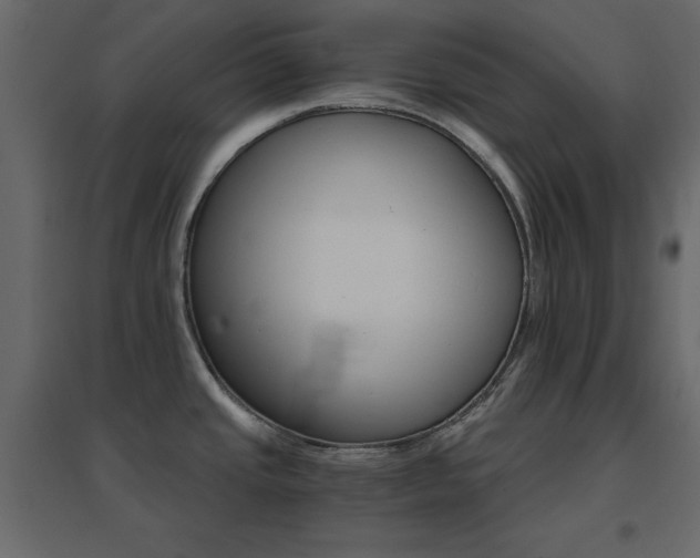 X0000096661437200802051208