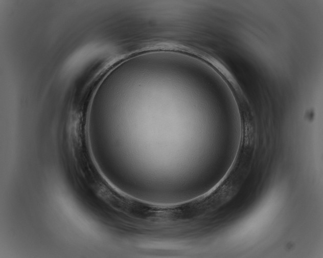 X0000096661438200802051208
