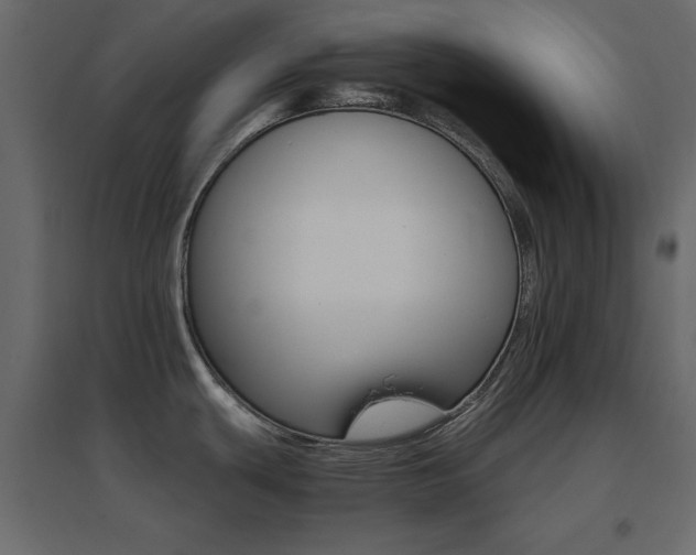 X0000096661439200802051208